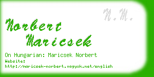 norbert maricsek business card